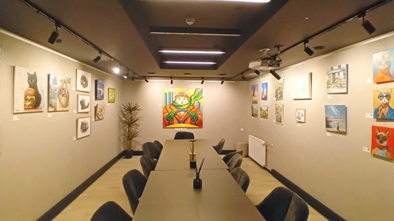 Cat Dimensions 2026 exhibition display at K13 Art Gallery